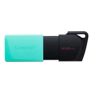 Kingston DataTraveler Exodia M Memoria USB 256GB